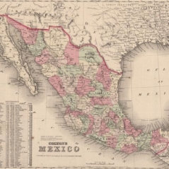 Image Les travaux botaniques de la Commission Scientifique du Mexique (1863 - 1867)